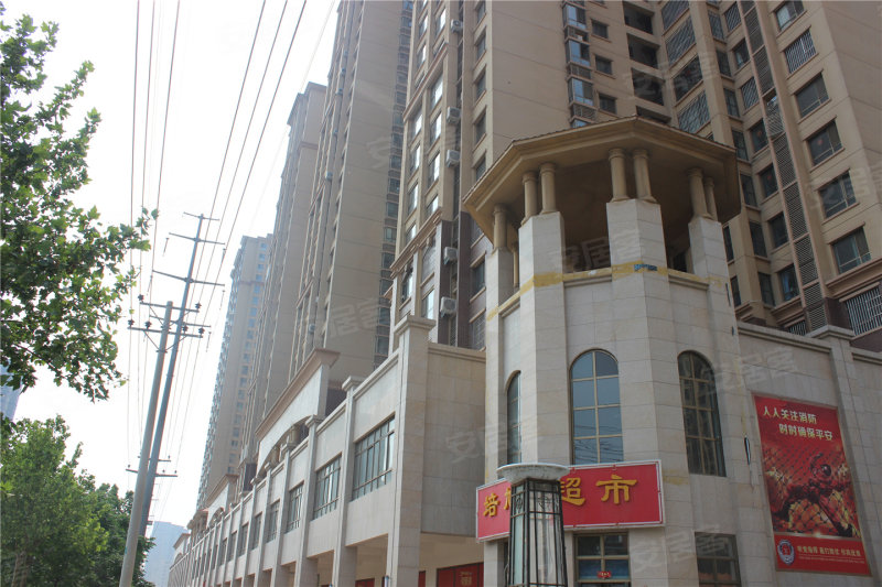 安陽帕提歐,巷深美食秘境,最新資訊盡在其中!