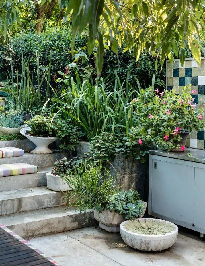 妙手回春再現輝煌，傳統醫術的再生與最新進展