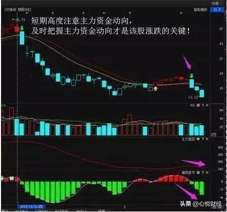 什么股票行情好,重磅推出掌握未來股票行情,科技新品帶你飛!