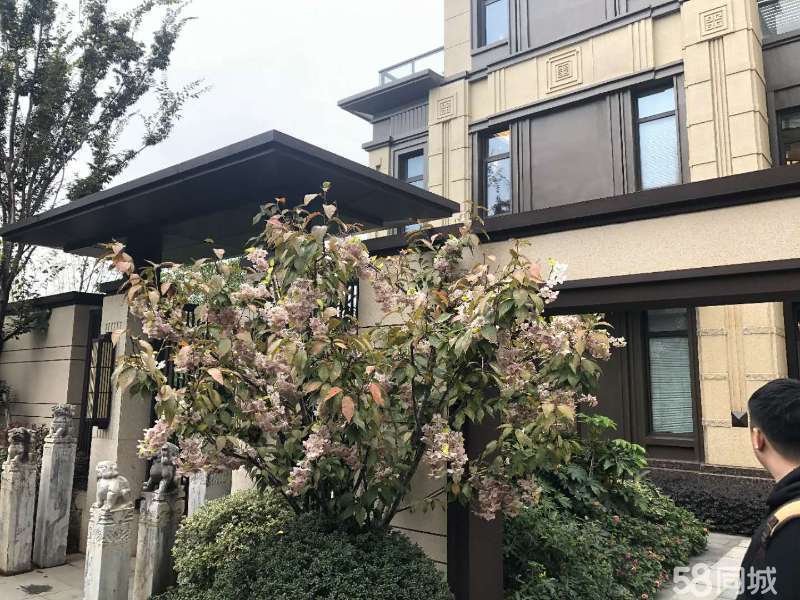 紅星桃花源房價新篇章,過去、現在與未來展望,房價變遷一覽無余