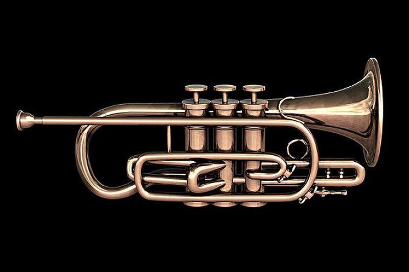 最新熱門短號下的溫馨日常記錄