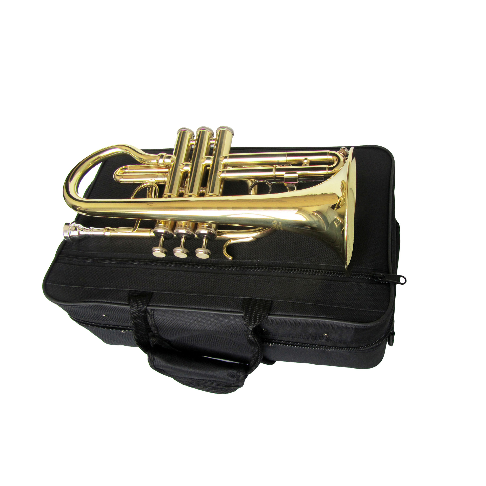 最新熱門短號下的溫馨日常記錄