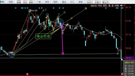 股票技術分析，心靈與自然的探索之旅