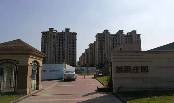 藍爵莊園最新住宅價格解析,市場走勢與多元觀點分析