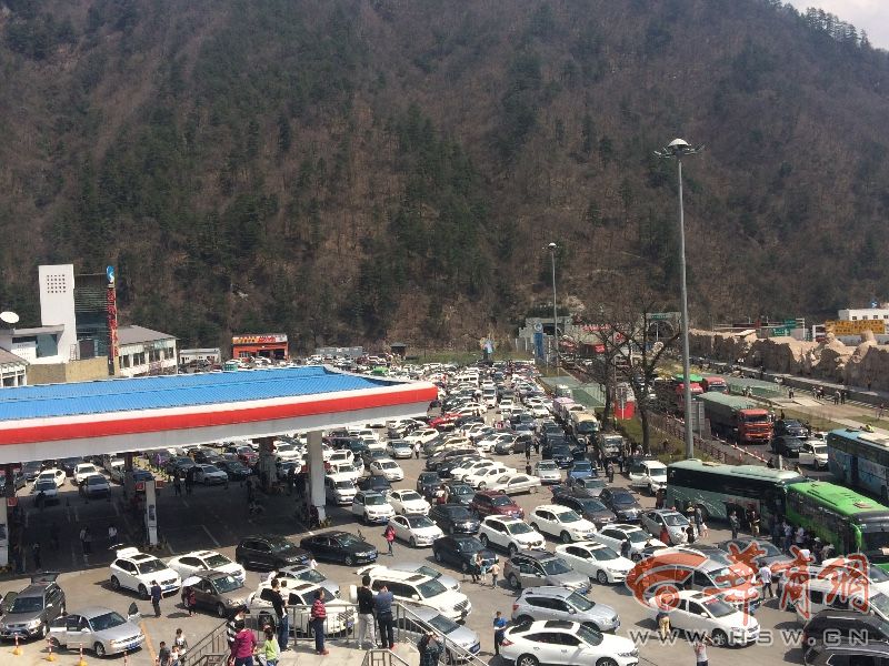 秦嶺車禍最新進展,意外中的溫情與堅韌展現人間大愛