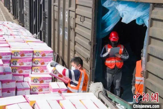 探秘小巷深處的獨特風(fēng)味，大蒜特色小店今日資訊速遞