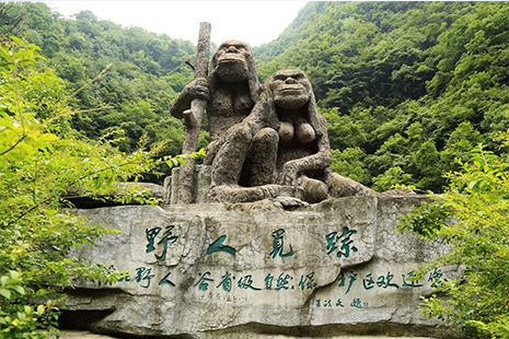 神農架景區門票價格詳解，全方位了解門票費用