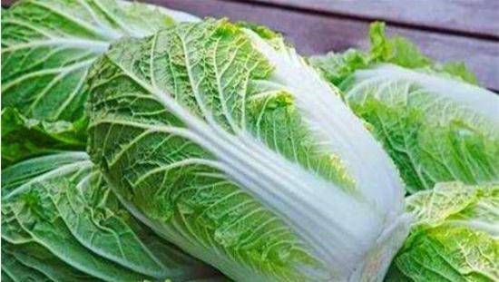 優(yōu)質(zhì)大白菜購(gòu)買(mǎi)指南，價(jià)格查詢(xún)與選購(gòu)要點(diǎn)詳解
