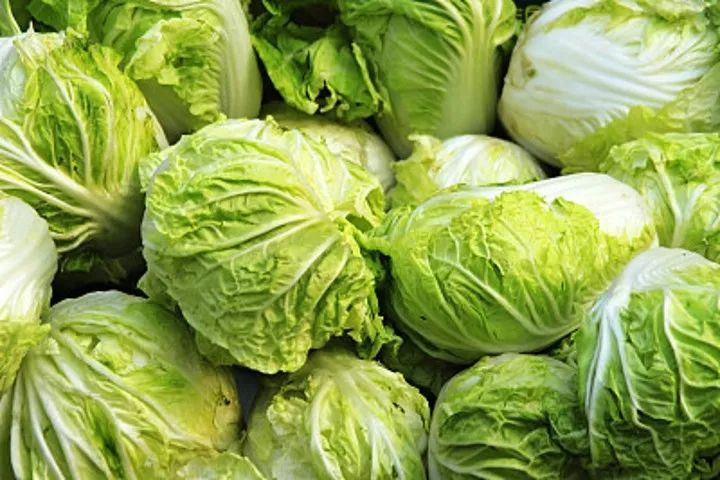 優(yōu)質(zhì)大白菜購(gòu)買(mǎi)指南,價(jià)格查詢(xún)與選購(gòu)要點(diǎn)詳解