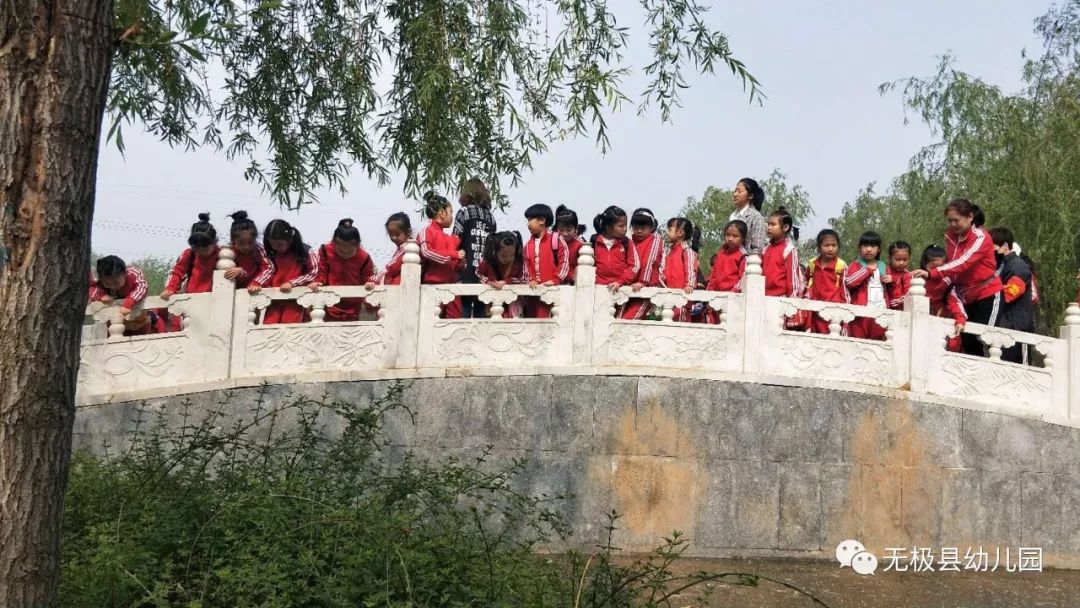 石家莊無極縣最新動態更新,縣域發展動態報告