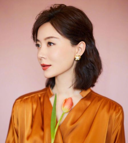 陳數老公揭秘，深度解析與觀點闡述