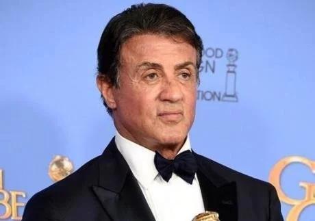 甄子丹最新資訊下載,動態更新與觀點論述