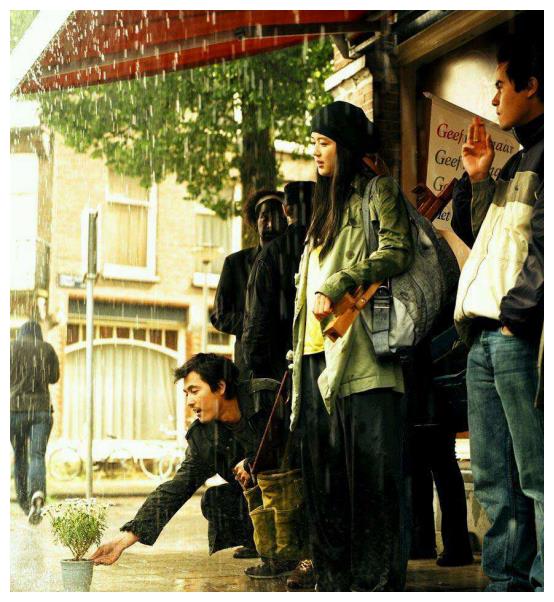 韓國電影雛菊，與自然美景的對話之旅，探尋內心平和與喜悅的旅程