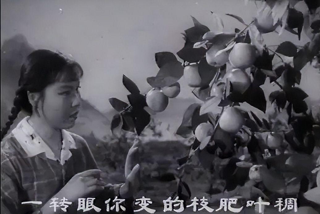 電影朝陽溝之高科技產品探秘