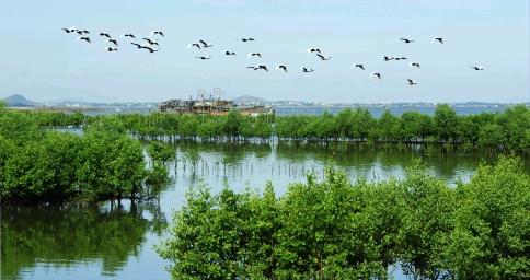 2025年7月臺風的最新動態與小巷特色小店的驚喜探秘