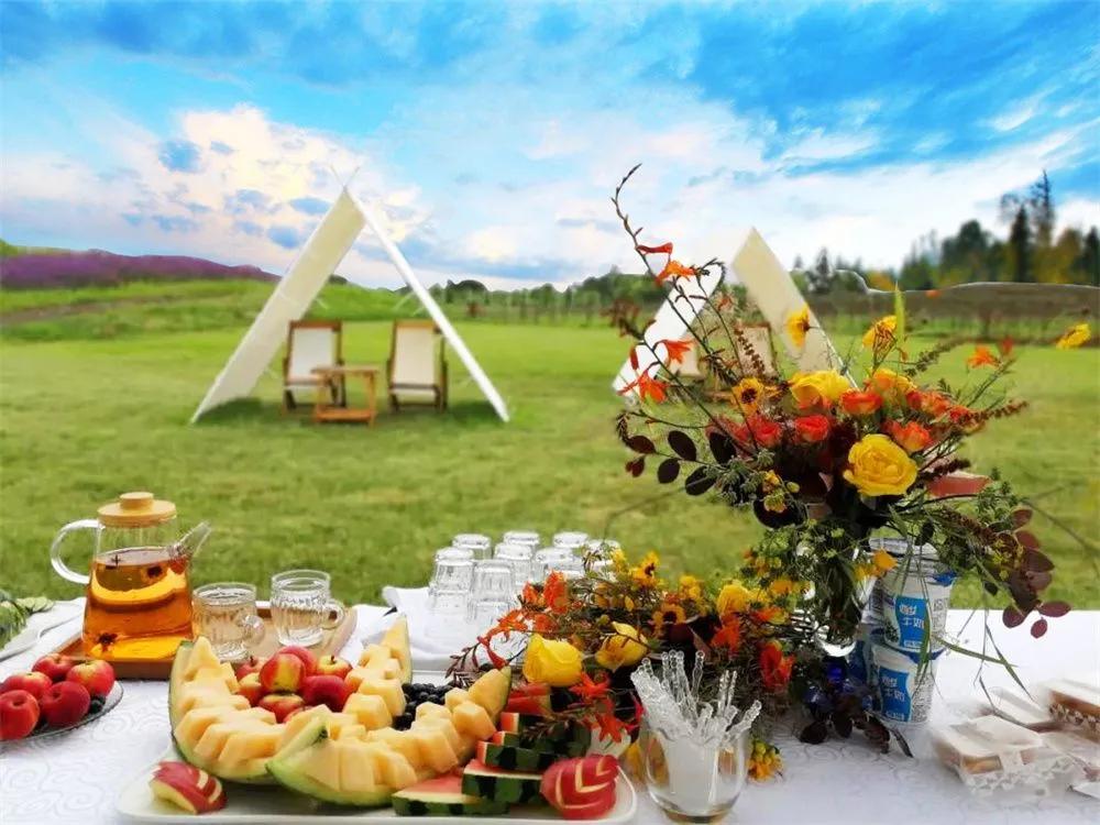 逢實螢資訊深度解析，影響及前景展望