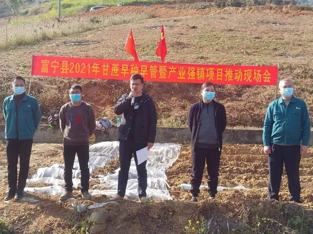 富寧招聘信息深度解析與個人觀點分享