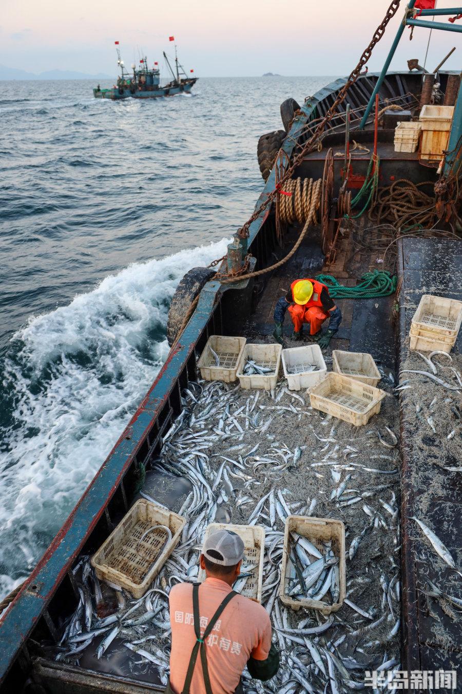 關于大型捕魚船價格的探討，以50米捕魚船為例的價格解析