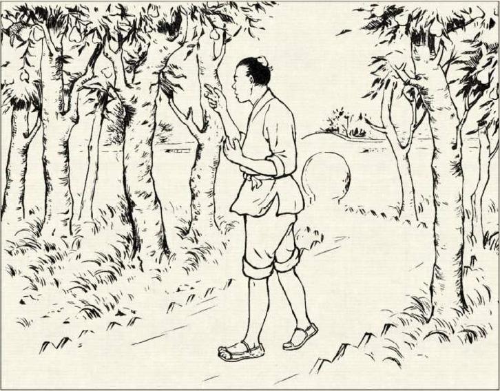 梨樹吧最新動態更新速遞