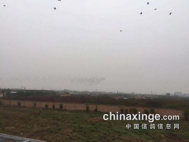 賽威公棚科技革新突破,未來高科技產品重塑體驗新紀元