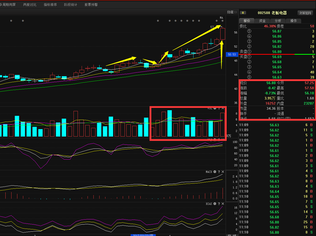 博天環境股票行情及自然美景探索之旅