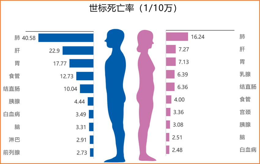 最新死亡率數(shù)據(jù)背后的溫情故事揭秘