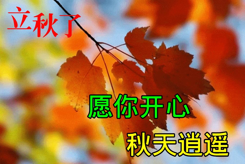 科技領(lǐng)域突破性進展的最新動態(tài)