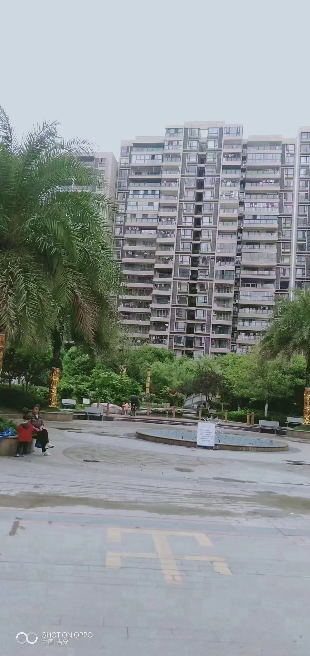 遂川房產資訊平臺，探尋自然美景，尋覓內心平和的旅行之道