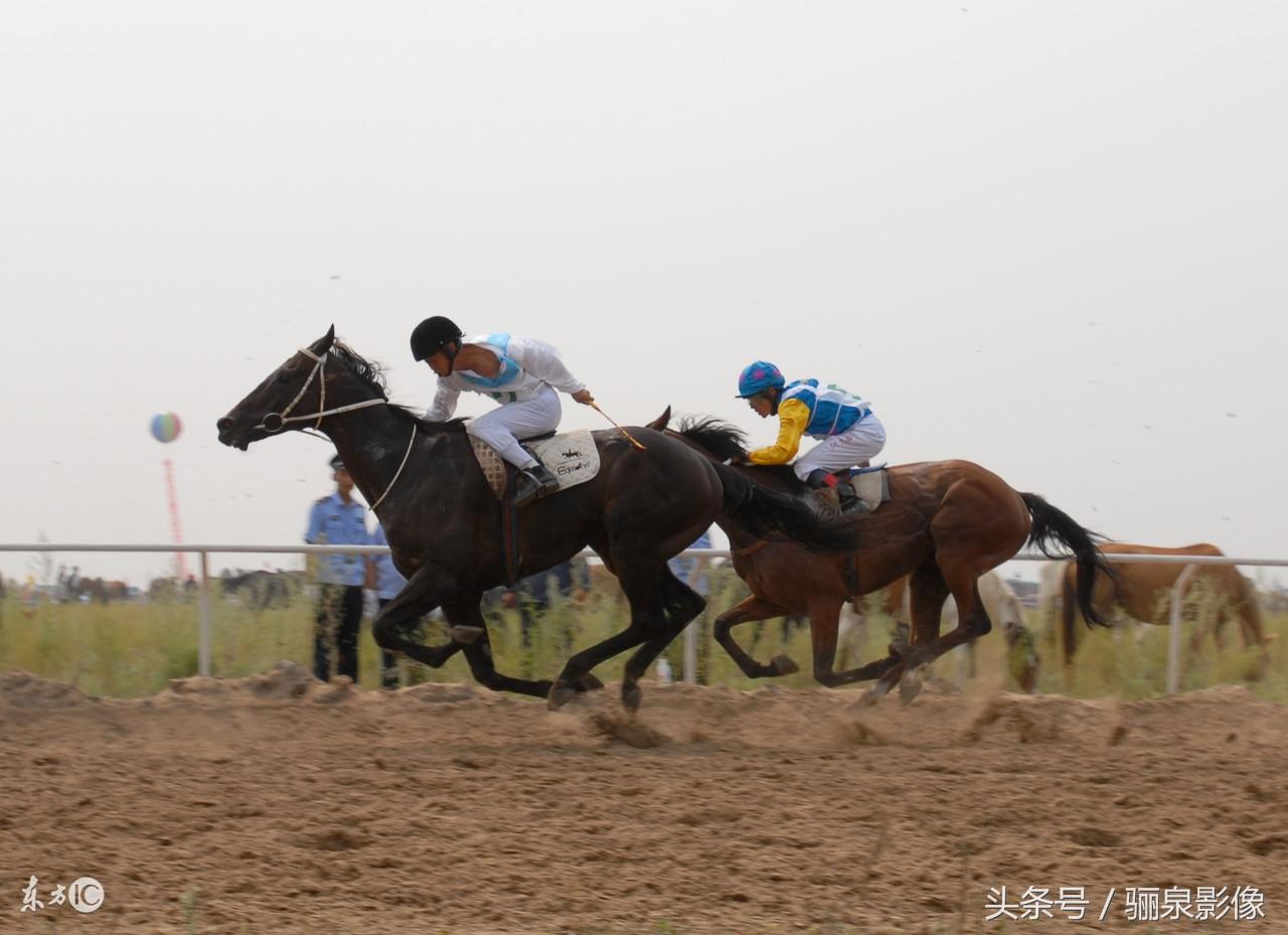 內蒙古賽馬比賽視頻，小巷中的激情與獨特風味探尋之旅