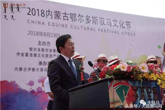 內蒙古賽馬比賽視頻,小巷中的激情與獨特風味探尋之旅