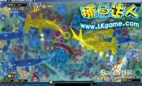 掌握最新捕魚技巧，輕松成為捕魚達人！