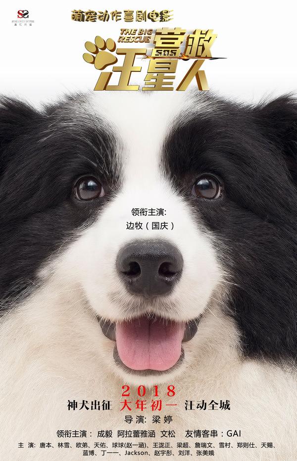 科技重塑觀影體驗(yàn)，大狗狗影視最新更新鏈接分享