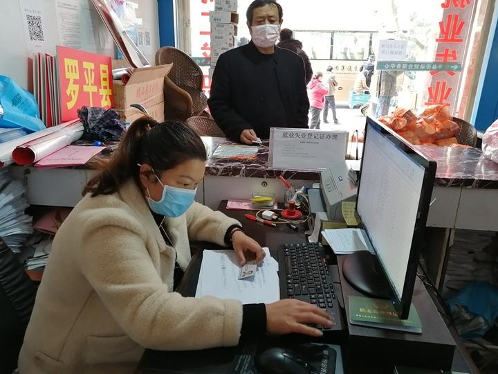 羅平招聘資訊揭秘，小巷深處的職業寶藏探索