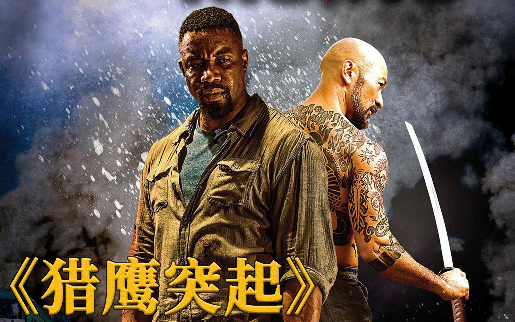 獵鷹追擊演員表揭秘,小巷中的寶藏與未知影視盛宴等你來探