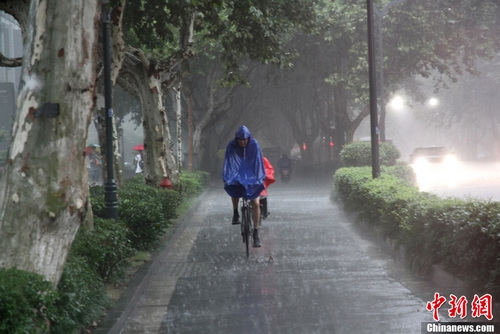 晨雨資訊揭秘,小巷深處的隱藏特色小店