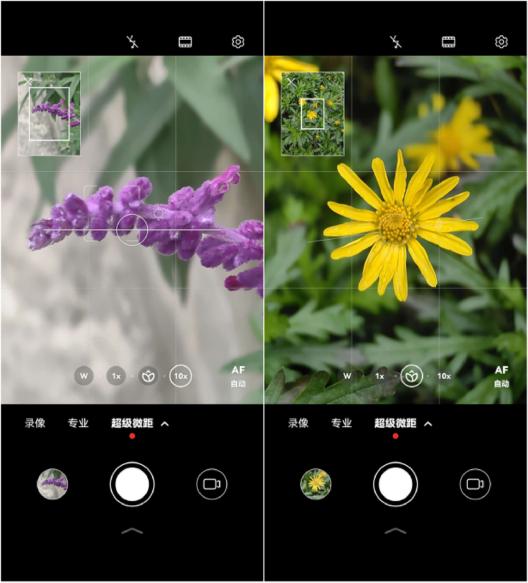 華為P60 Pro上市時間及價格詳解,最新發布與價格分析