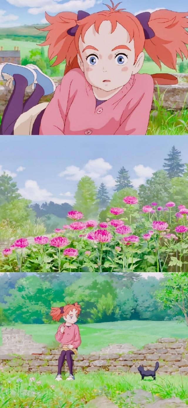 瑪麗動漫，夢幻之旅，開啟二次元世界的大門?