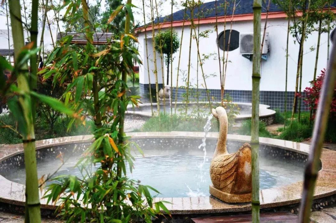 溫泉招聘信息，探索自然美景之旅，開啟心靈平靜與喜悅的旅程