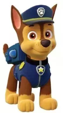 最新阿奇資訊，學習變革，擁抱自信成就的力量