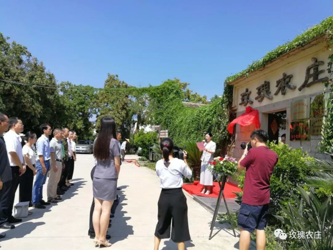 長泰人才網古農農場最新職位招聘大揭秘，小巷深處的特色小店等你來探索！