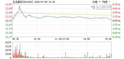 玉龍股份股票行情最新動態，股市熱議焦點??