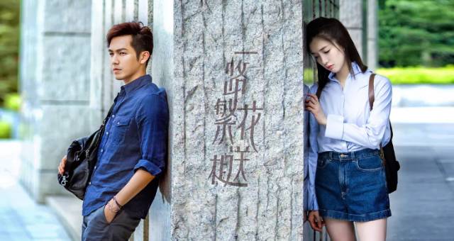 創新與傳統的碰撞，最新電視劇一覽