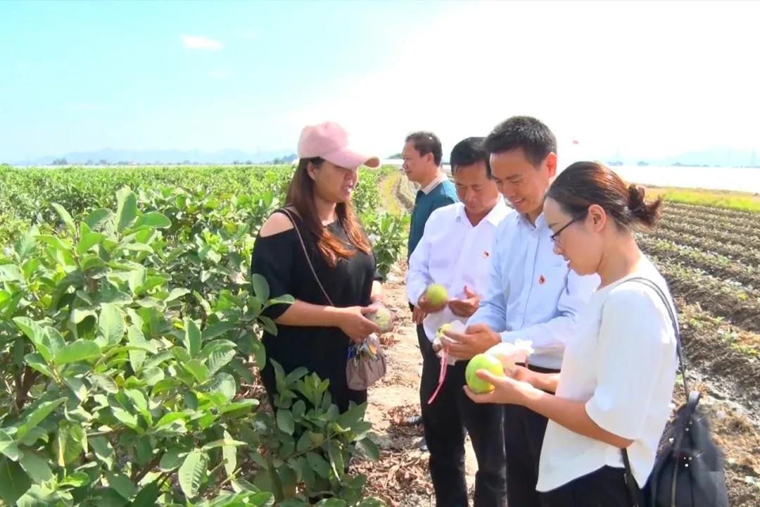 58同城海豐最新職位招聘，與自然美景同行，尋找內心的平和寧靜之旅