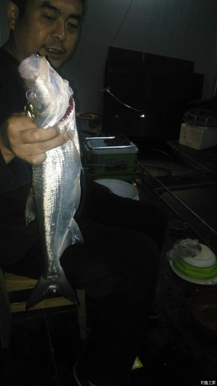 最新翹嘴魚釣魚直播,探尋小巷釣魚天堂,直播實戰分享!