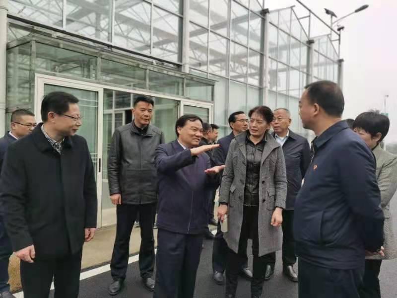 金博地最新動態，引領創新，塑造未來藍圖之路