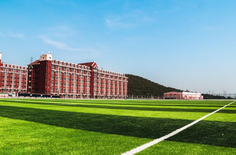 山東大學動漫設計專業，自然美景中的探索之旅