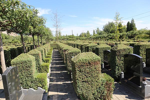 北京墓地價格指南，如何選購與購買墓地？