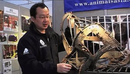 中國最新疫情動態更新概況