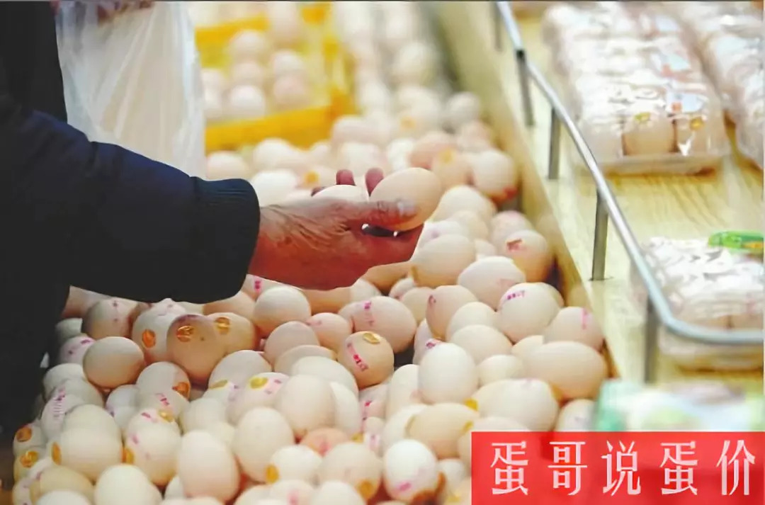 河南周口雞蛋價格行情詳解與分析