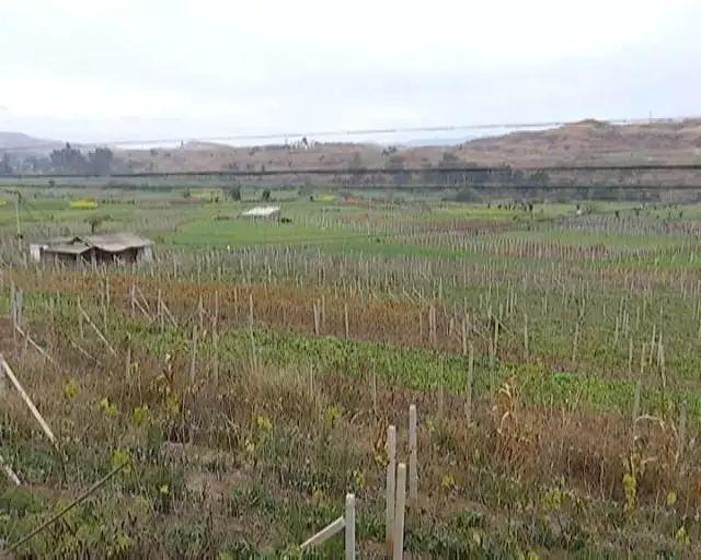 賓川機(jī)場最新動(dòng)態(tài),自然美景之旅的啟航點(diǎn)